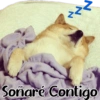 Animales Friolentos 🥶❄ 14