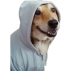 Funny pets 18