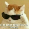 Michis con frases UwU🐱🍭🍨 20