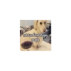 Homophobic dog 13