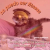 🐱🐾🐈 Cats lV  🐈🐾🐱 6
