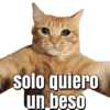 Memes pa' enviar de Gatitos 13