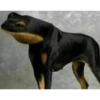 Omitir 10