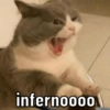 MEMEZINHOS QUE EU GOSTO 🤩 12