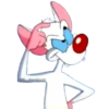 PINKY & CEREBRO 19