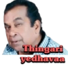 Brahmanandam 20