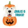Dog Park - Halloween 6
