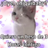 🐱🐾Mishis🐈🐈‍⬛Para Tu Crush💘😻 15