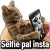 🚫Memes que no viste4🚫 21