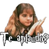 Harry Potter 18