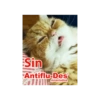 AntifluDes Más y MNF 13