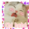 Gatitos amorosos. 11