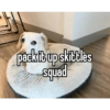 Homophobic dog 19