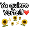 Novios ll 8