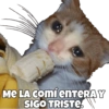 Michis pt. 2 27
