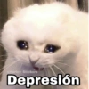 Gatitos SAD 😞 1 29
