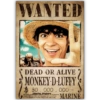 🌊 ONE PIECE 🌊☠️ [NETFLIX] 😁 29
