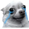 Triste 30