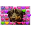 Doggo hearts 10