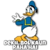 Donald Duck & Daisy Duck 13