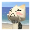 White cat 26