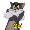 Memes dos melhores desenhos 10