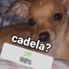 MEMES VARIADOS 14