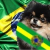 BTS Copa 25