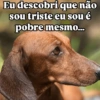 Eu descobri que não sou triste eu sou é pobre mesmo...