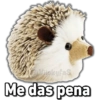 Vickyfas Me das pena