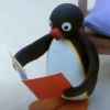 Pingu  21