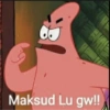 Patrick 13