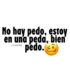 No hay pedo, estoy en una peda, bien pedo. @ballolet88