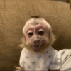 Fofos  19