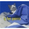 foi porral