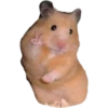 Animals random 13