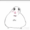 Hamaster tik tok viral 8