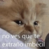 no ves que te extraño imbécil