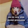 Memes 48 8