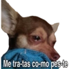 Me tra-tas co-mo pes-te