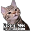 Corbickufas Espera! Algo no anda bien