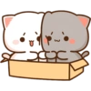 Peach Goma CAJA ❤️ 11