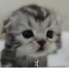 Nao 8