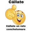Cállate Cállate un rato conchetumare