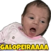 Minhas figurinhas 12