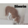 Döwerim