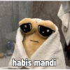 habis mandi