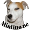 Mintino ne