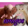 Oxe kkkkkk 6