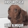 PROCURO CASA PARA ALMOÇAR